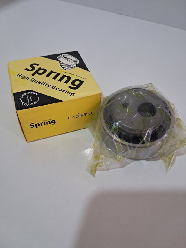 بلبرینگ تایم پژو F120 SPRING